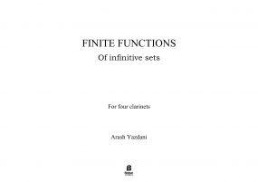 Finite Functions of infinitive sets image
